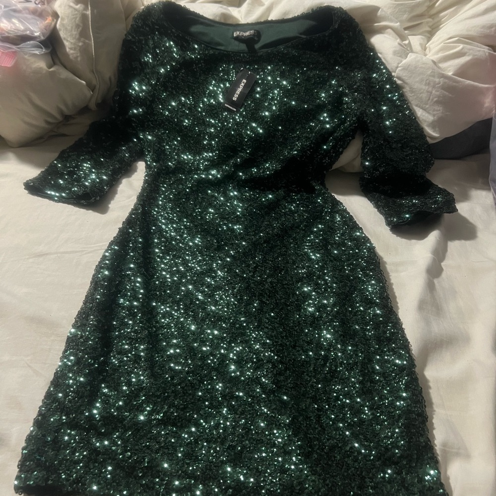 Express Green Sequin Dress